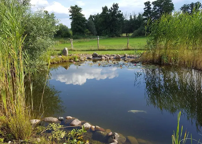 Hof Schwericke Tauche